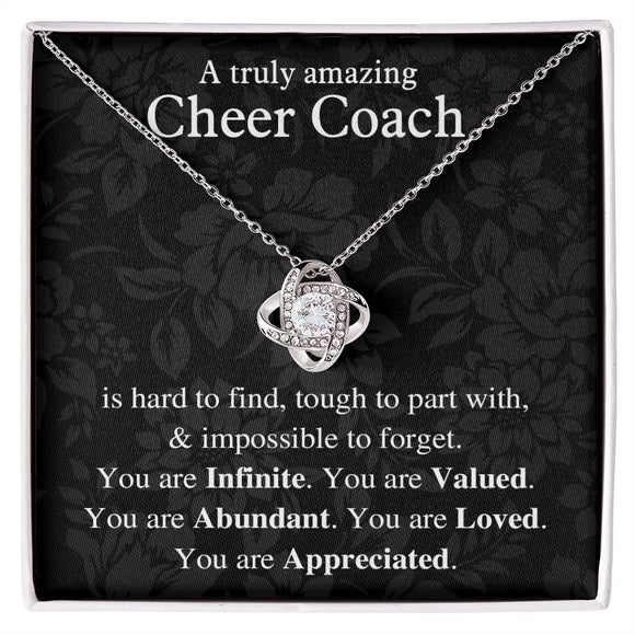 Duc-Amaz2-Family-S0o146